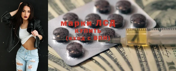 ПСИЛОЦИБИНОВЫЕ ГРИБЫ Абаза