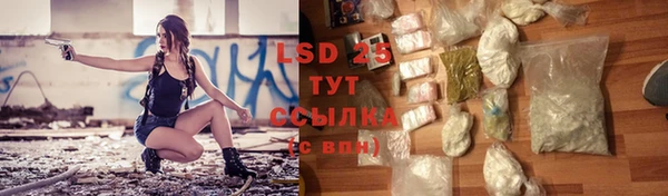 PSILOCYBIN Абинск