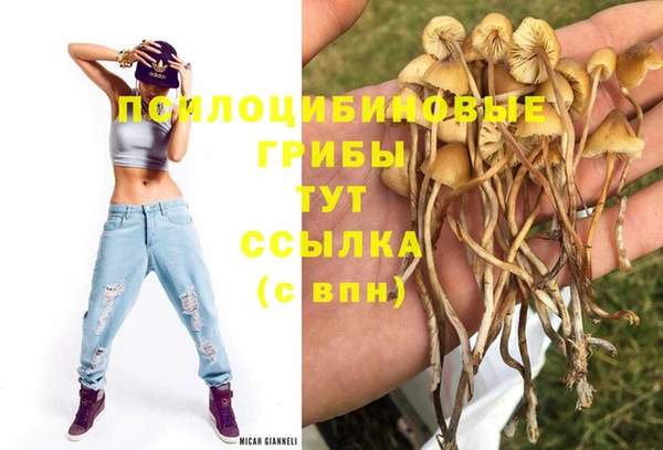PSILOCYBIN Абинск